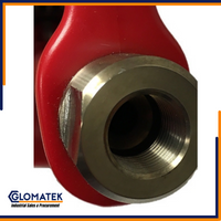 WaterBoss WB-800-3/8-L